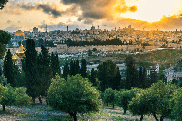 Jeeping In Jerusalem