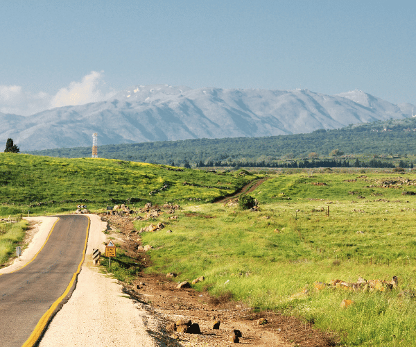 The Golan Heights Jeep Tour Experience