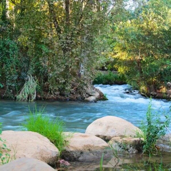 jeeping in the jordan river