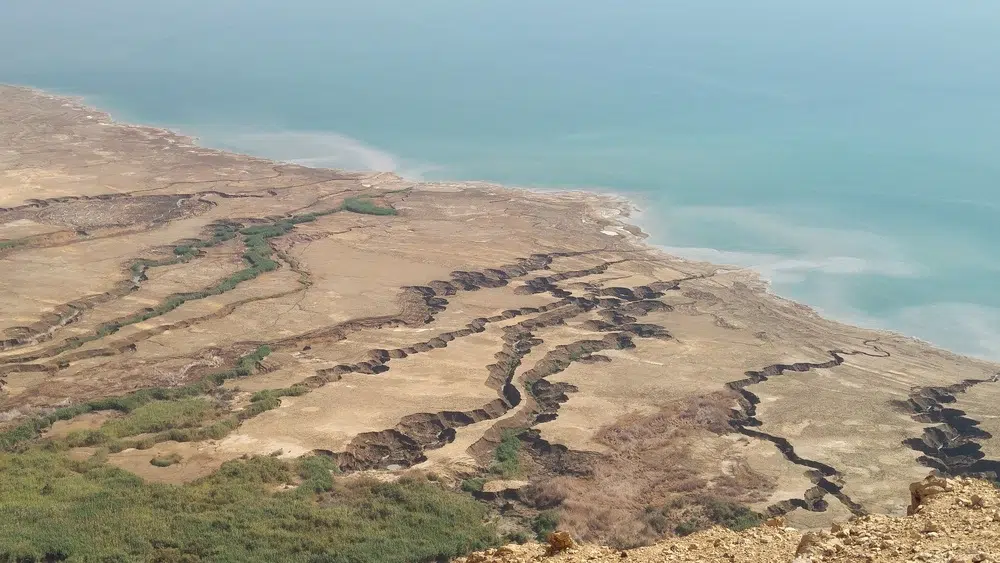 בולעני ים המלח